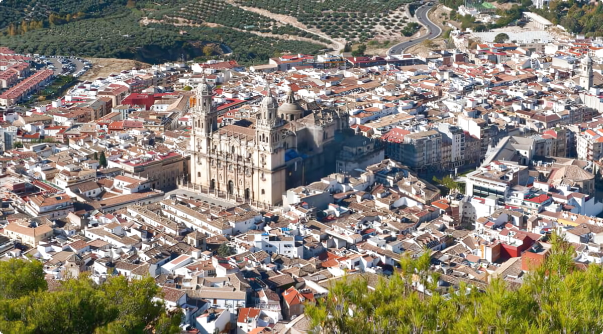 ¿Cuáles son las opciones de vehículos más populares en Jaén?